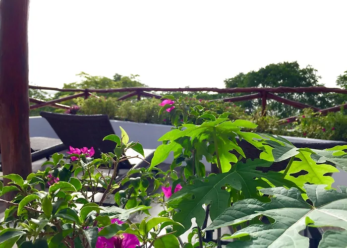 Hotel Sun Ha Bacalar